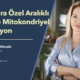 Longevity ve Sağlıklı Yaşam Uzmanı Dr. Elçin Yıldıran Mizrahi "Kadınlara Özel Aralıklı Oruç ve Mitokondriyel Aktivasyon: Enerji, Odak ve Biyolojik Uyum" hakkında bilgi veriyor.