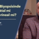 Prostat Biyopsisinde Transrektal mi Transperineal mi? - Prof. Dr. Can Öbek