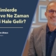 Sistit Nedir, Kimlerde Görülür ve Ne Zaman Tehlikeli Hale Gelir? - Prof. Dr. Süleyman Ataus