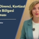 İnsülin Direnci, Kortizol ve Karın Bölgesi Yağlanması - Doç. Dr. Aysun Işıklar